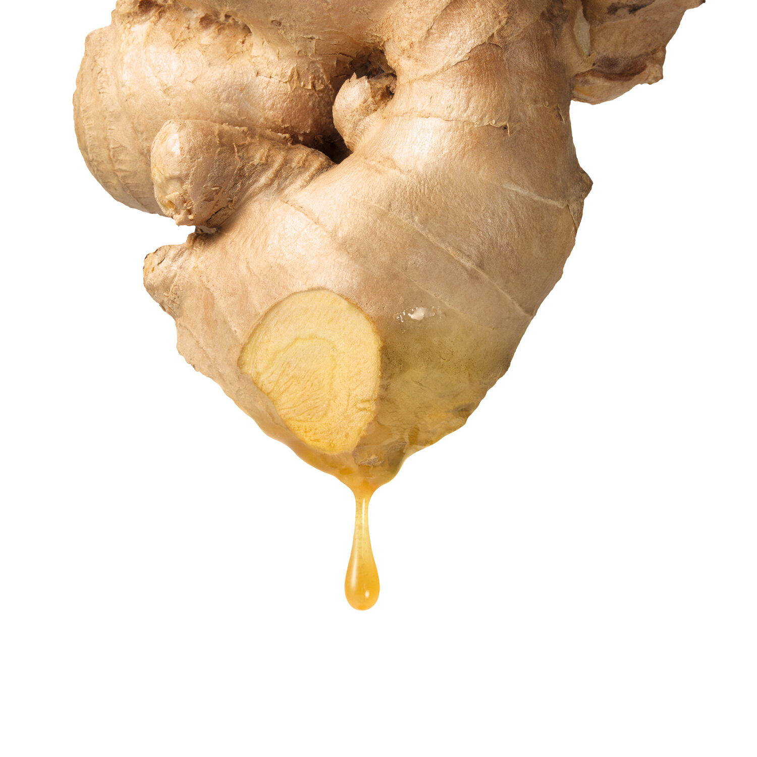 Ginger-crop.jpg