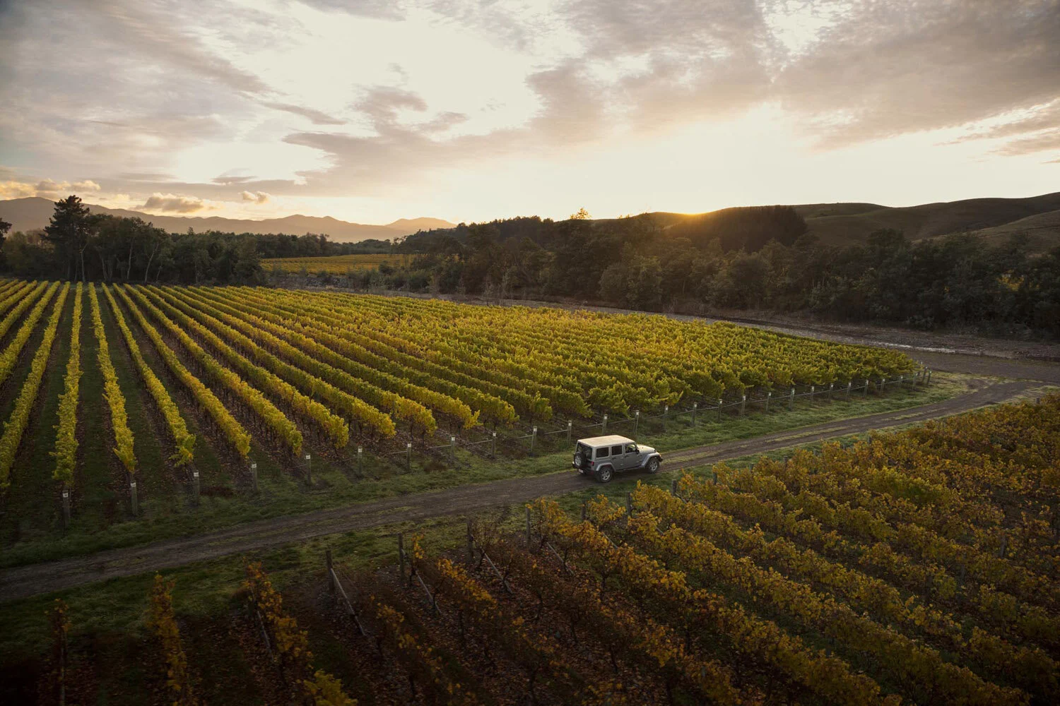 Sacred_Hill_Marl_Day01_f 2024.jpg