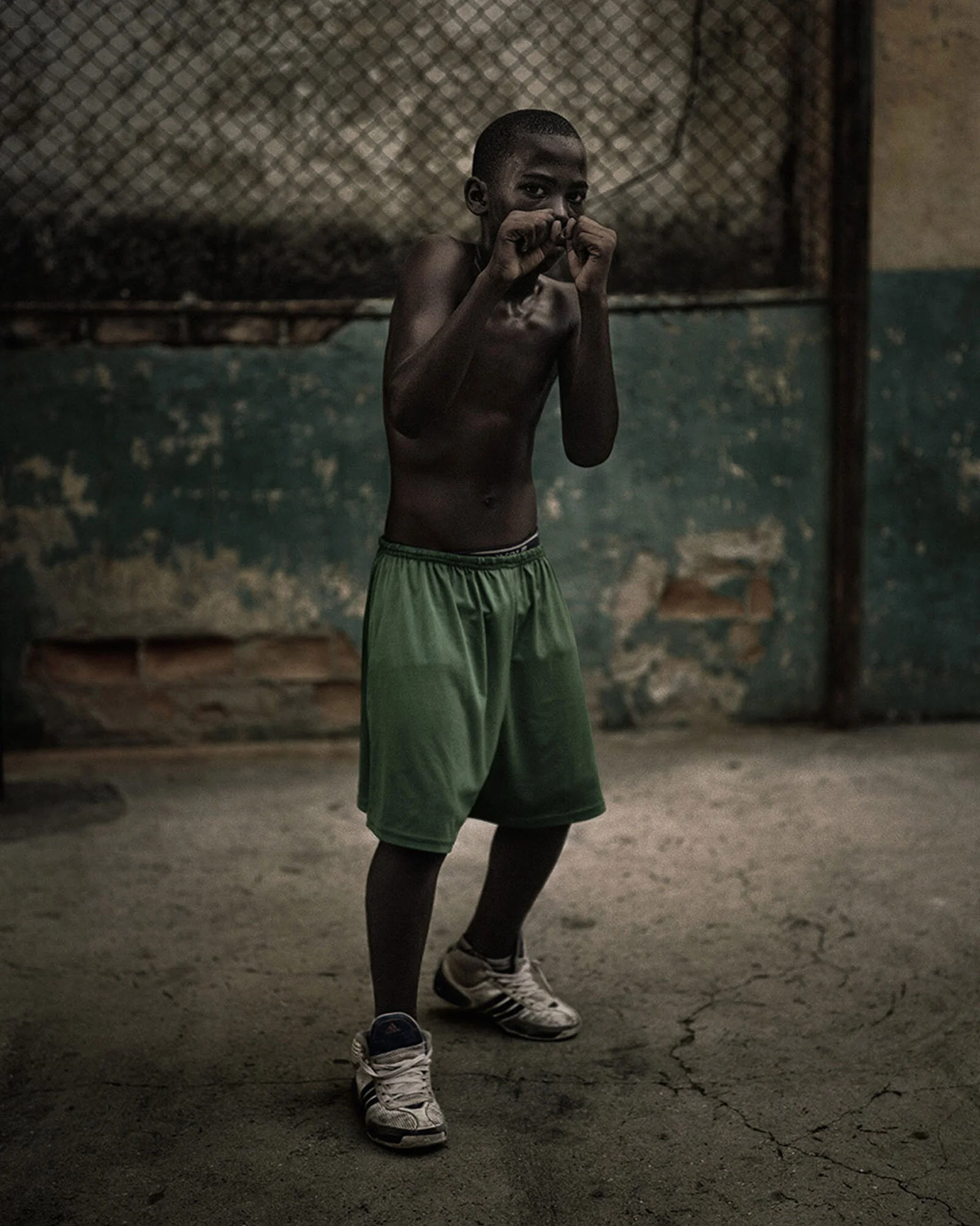 Havana-Boxer-02.jpg