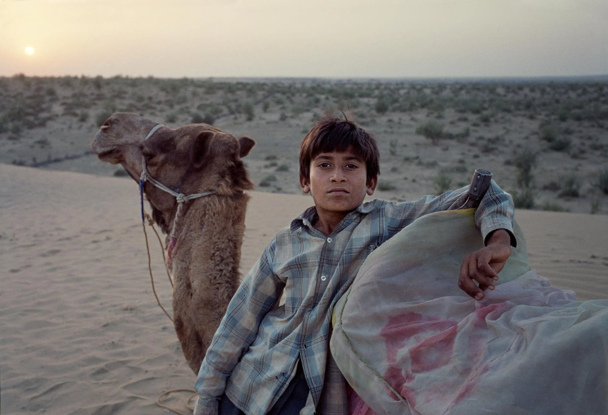 Camel-Boy.jpg