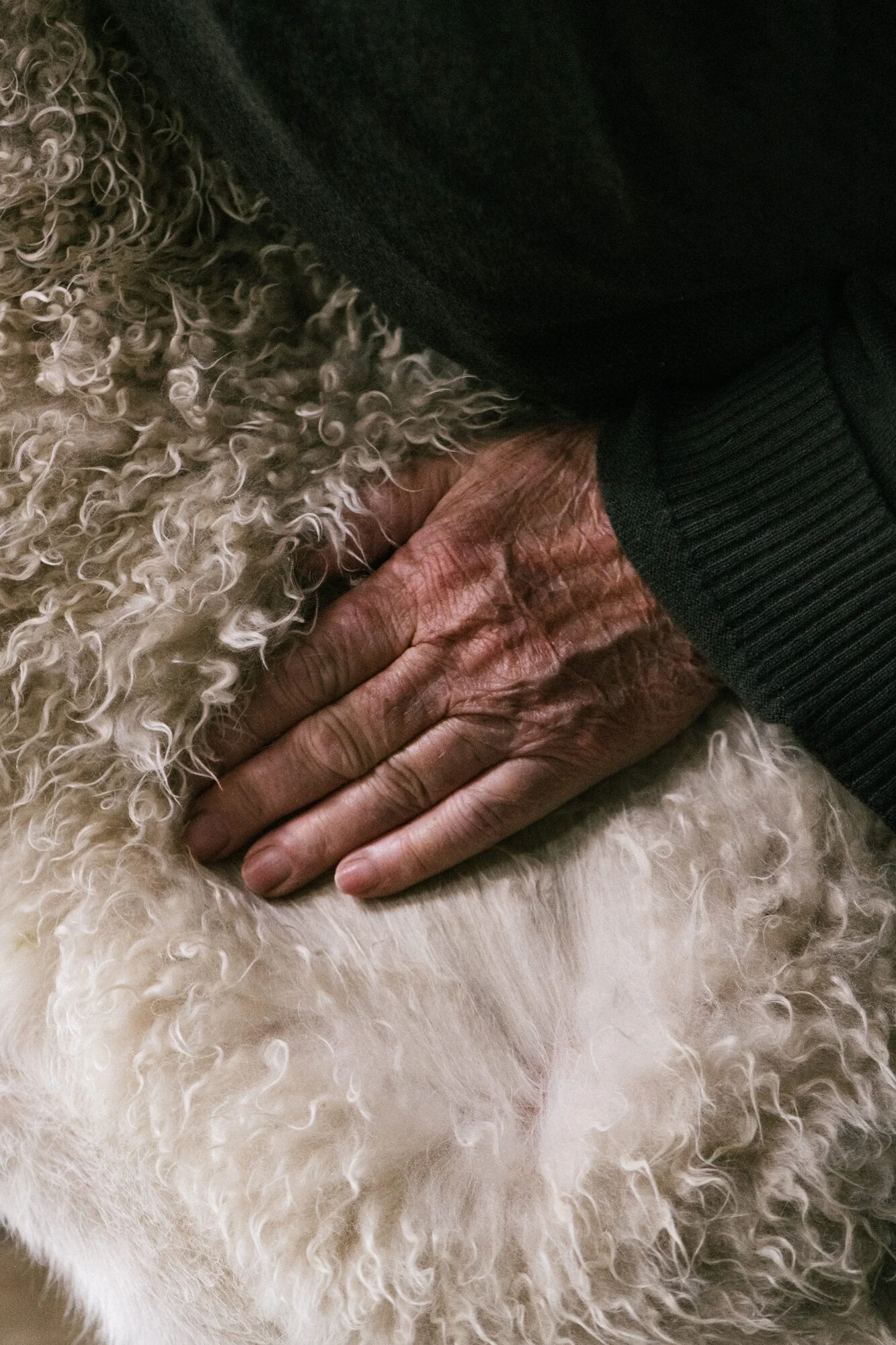 Josh Griggs For Tolaga Bay Cashmere