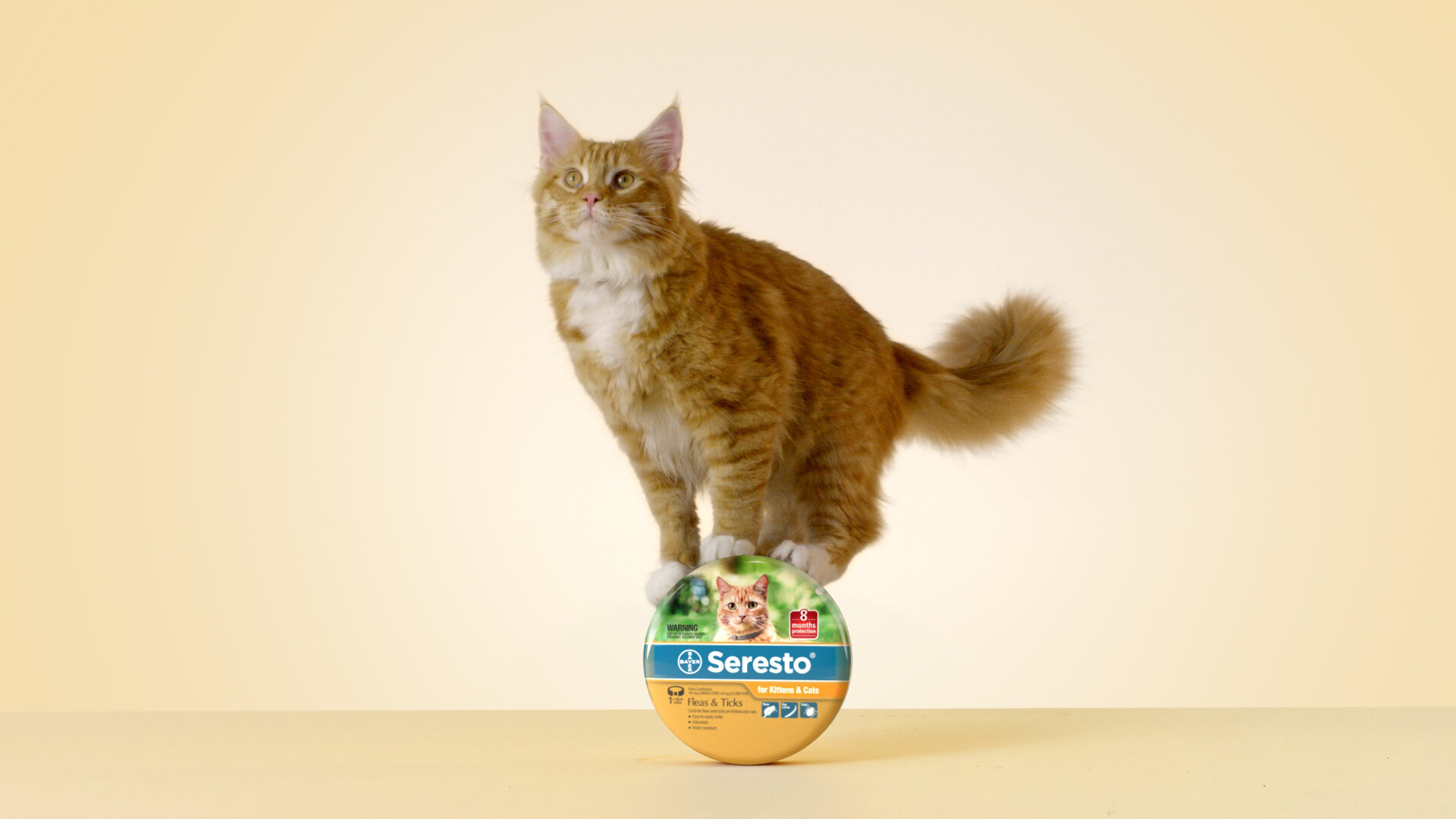 Toaki Okano For Seresto