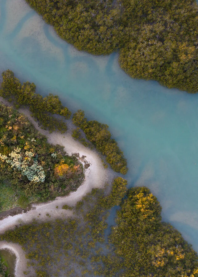 Tom Roberton For The Reserve