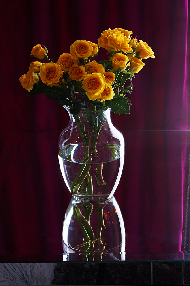 wFN-EVELYN-BENATAR-178F.jpg