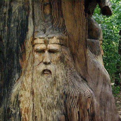 The Man Who Would Be a Tree