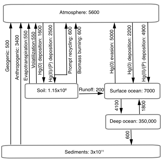 Global 3-D land-ocean-atmosphere model for mercury: present-day vs. pre-industrial cycles and anthropogenic enrichment factors for deposition