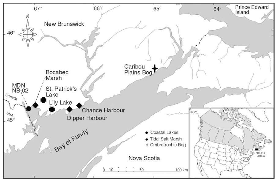 Reconciling models and measurements to assess trends in atmospheric mercury deposition
