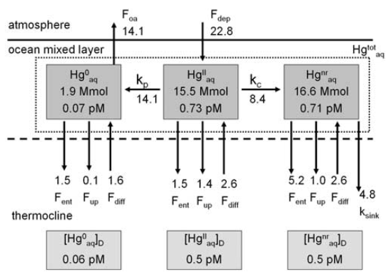 Air-Sea Exchange in the Global Mercury Cycle