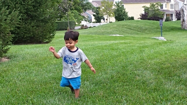 Let's Go Fly A Kite