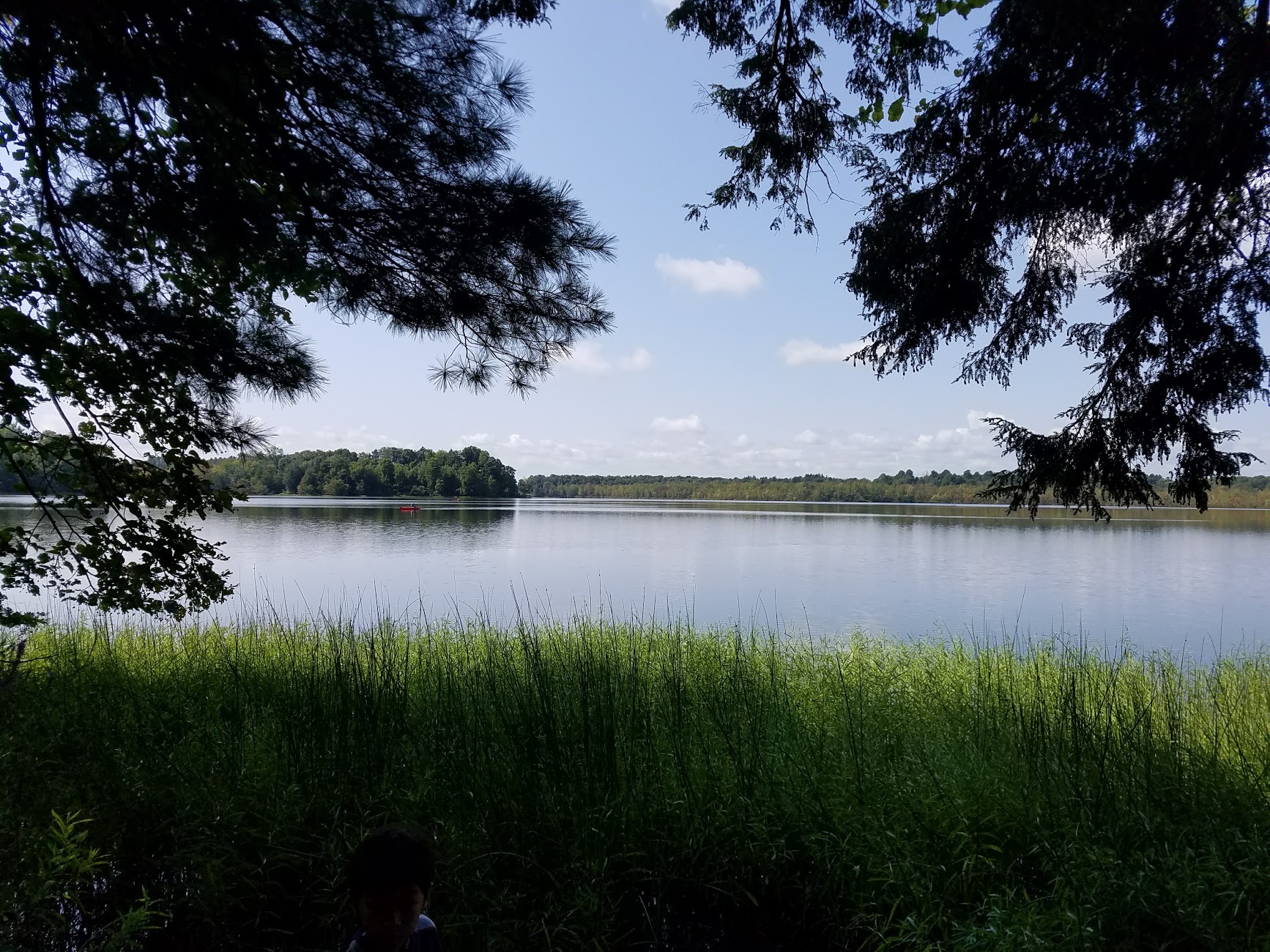 20170830_115004.jpg