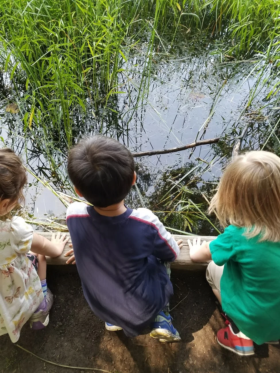 20170830_115043.jpg