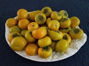 persimmons.jpg