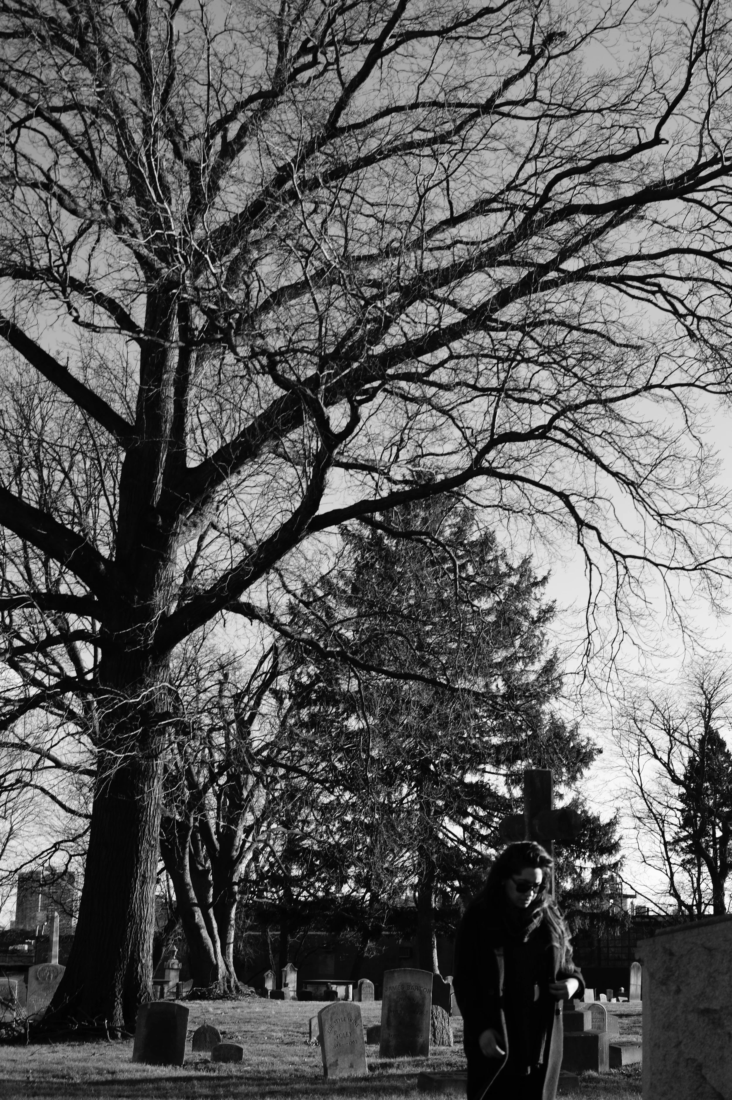 Mount Vernon, New York