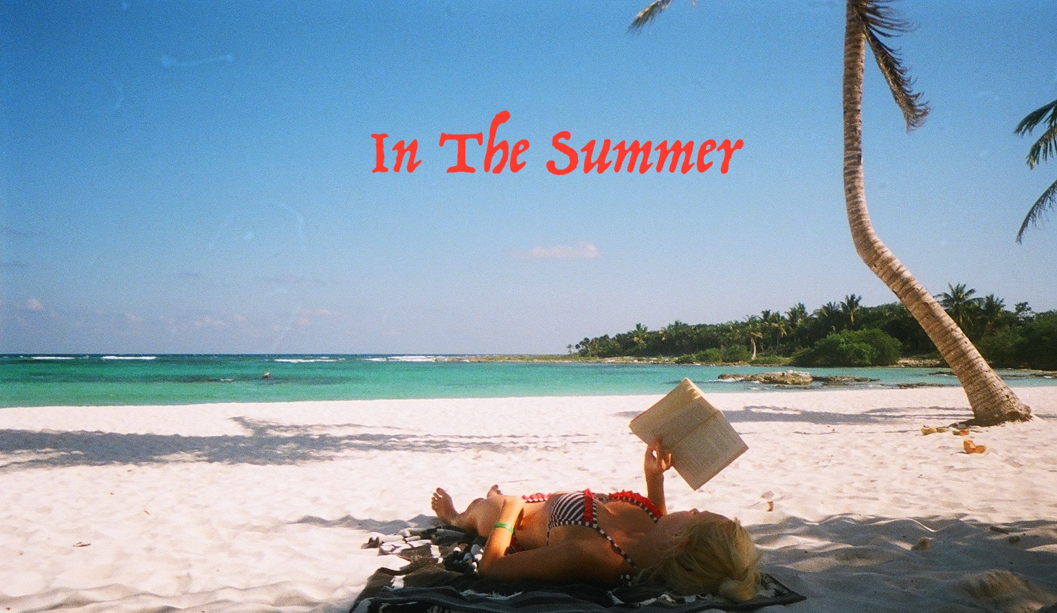 2. Single Artwork - In The Summer.png