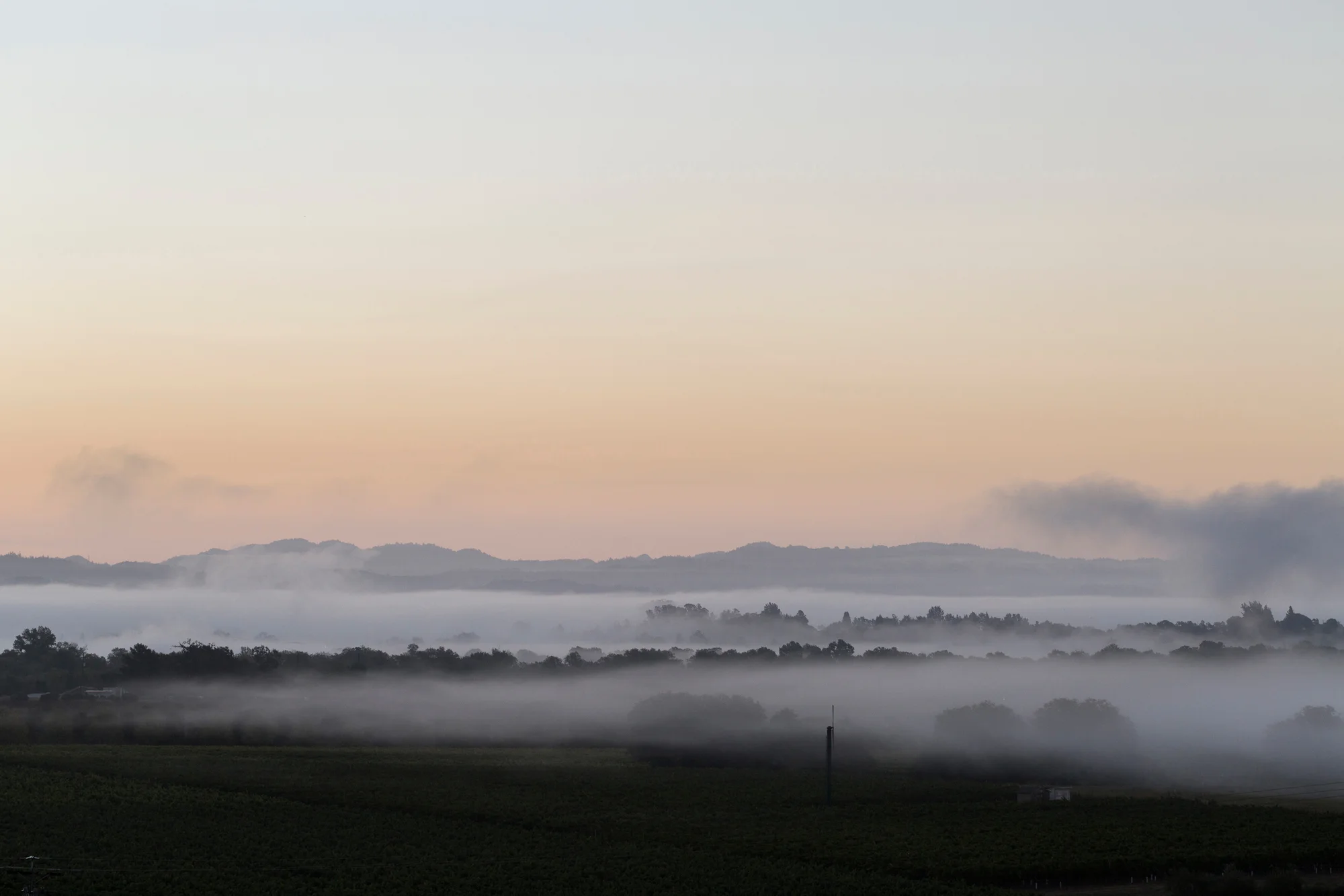 This rolling fog is what makes RRV wine so special.