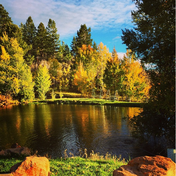 Screen shot 2015-09-16 at 2.53.07 PM.png