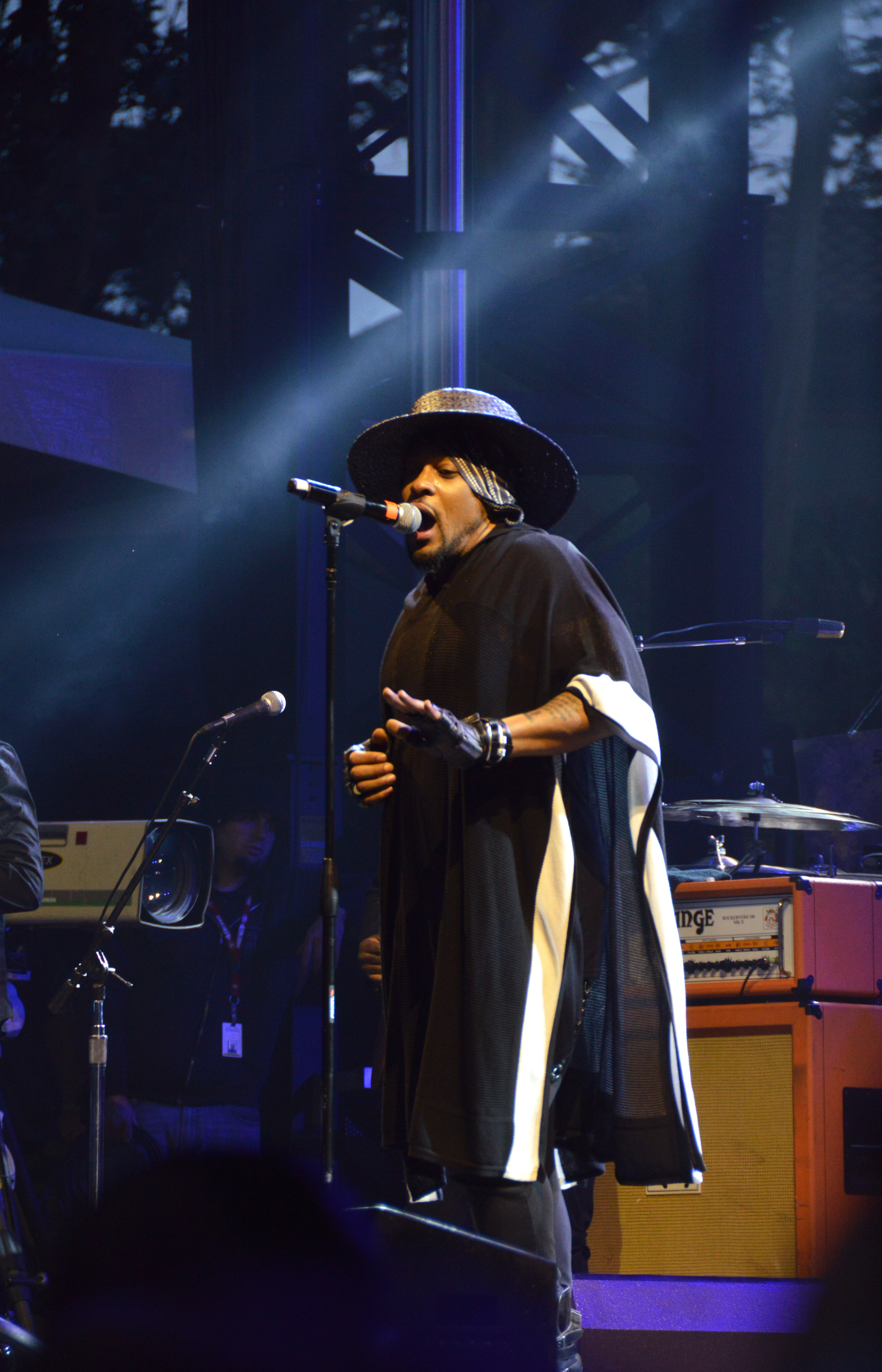 D'Angelo at Outsidelands 2015