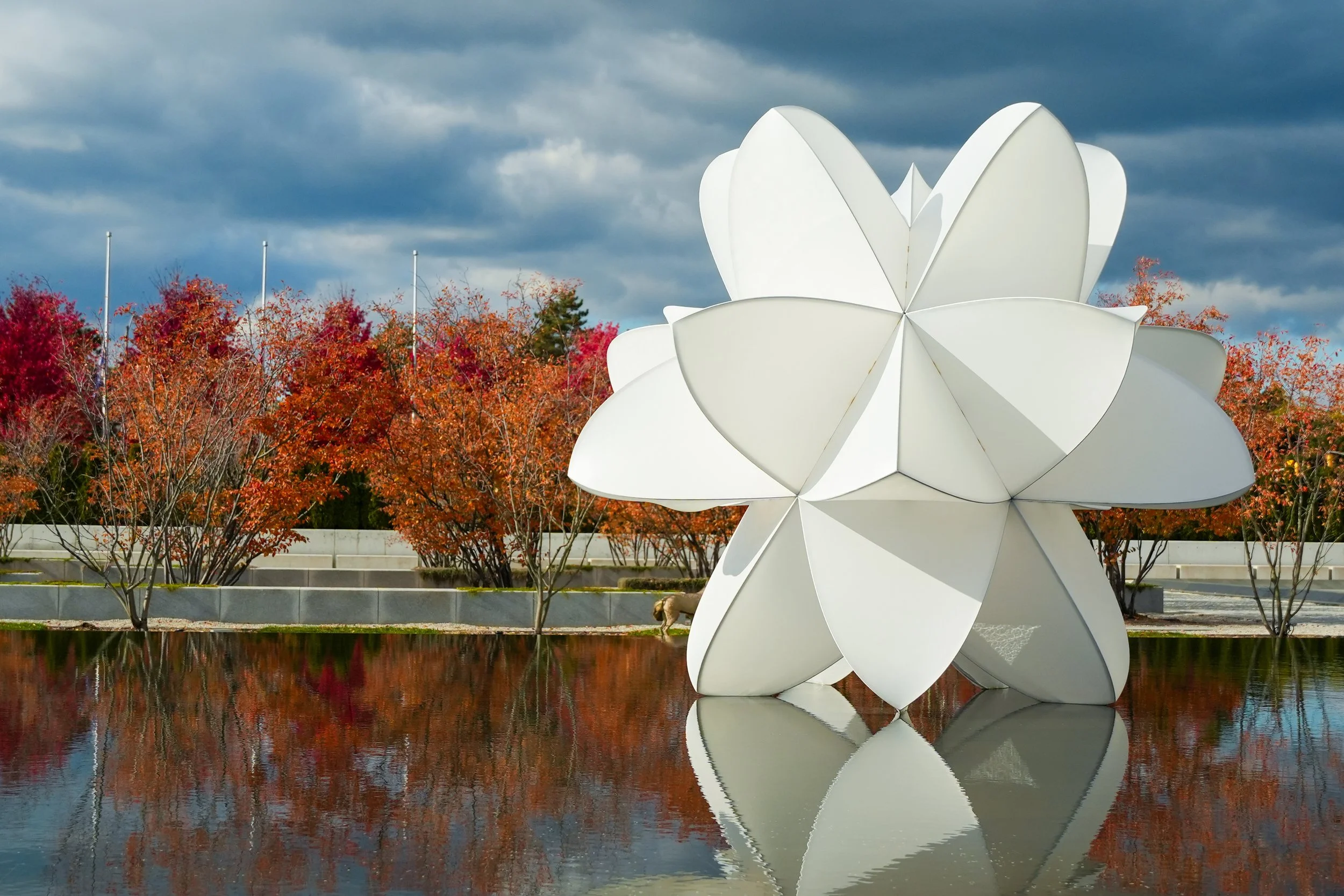 A photo of the sculpture materia prima day time in the autumn season. Photo by Raheel Azim.