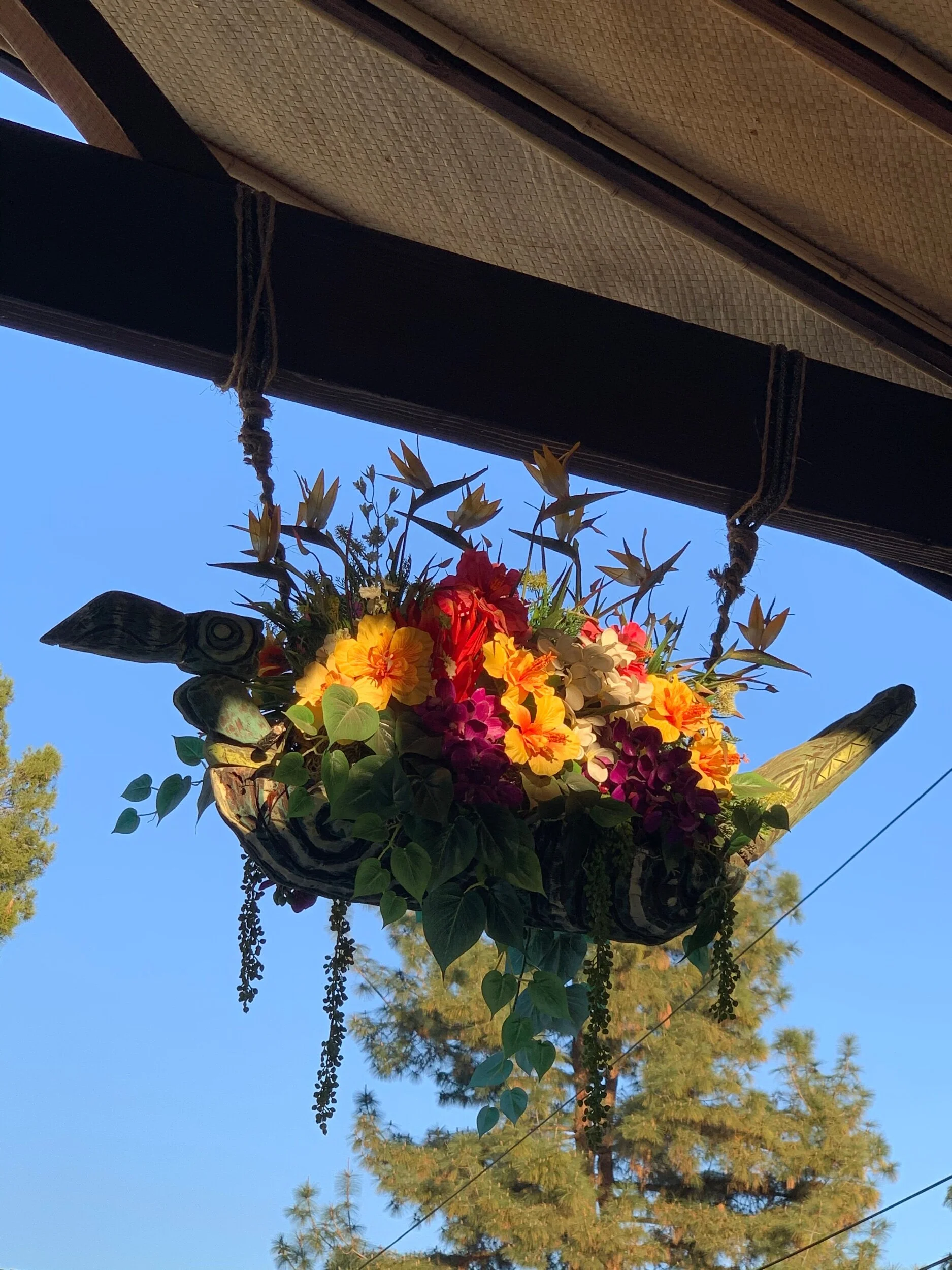 721ED2D5-12BD-4F9C-B0CA-810B4F82A401