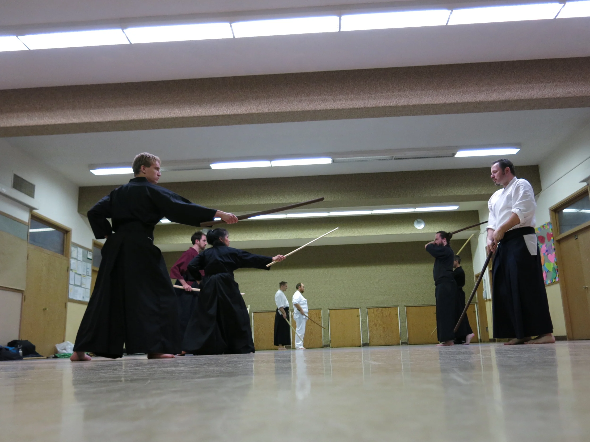 2014 Hyoho Niten Ichi Ryu Seminar