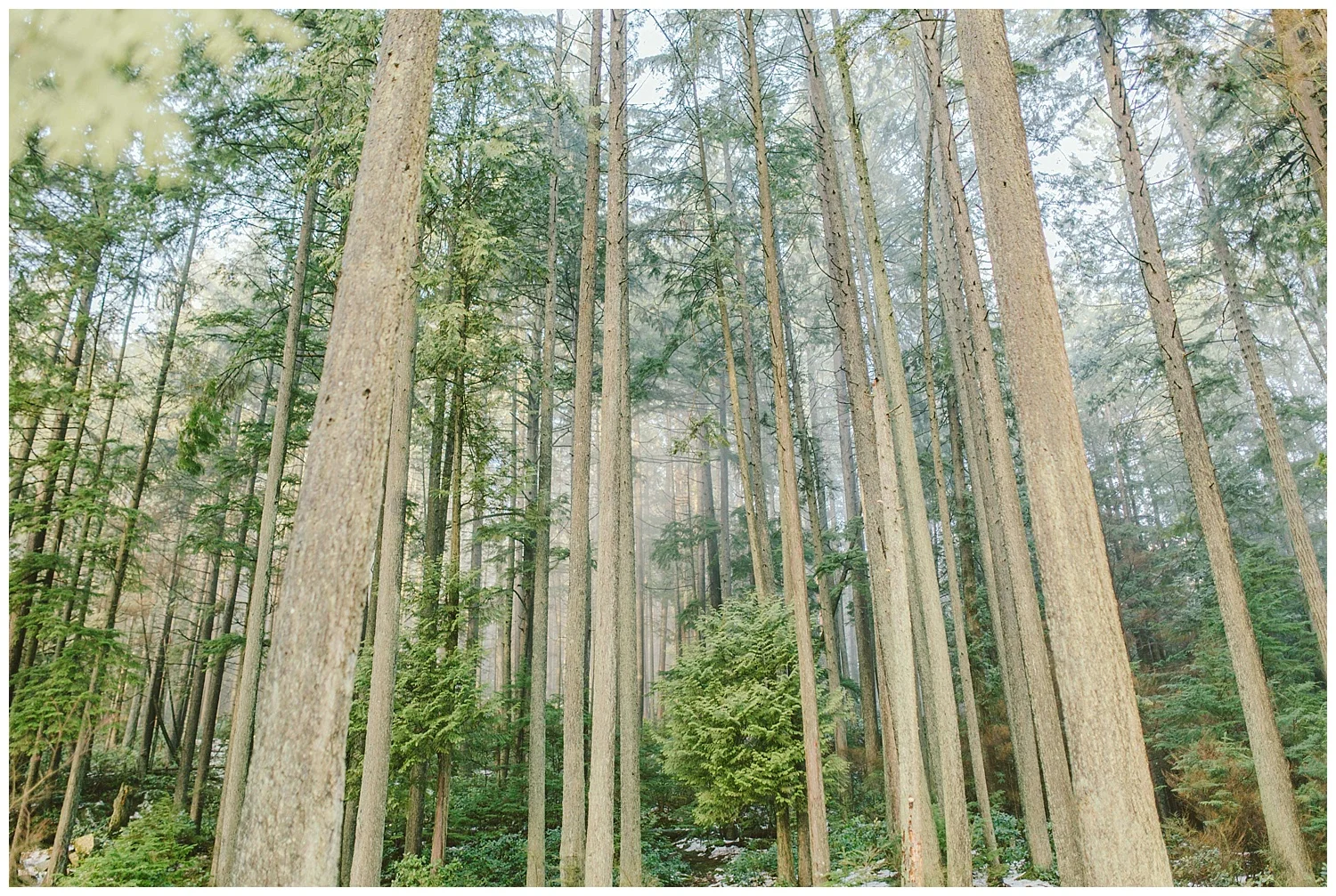 Top 10 Engagement and Wedding Photography Locations in Vancouver