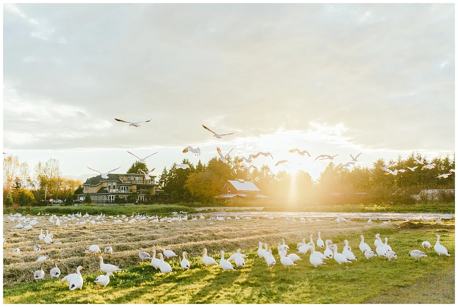 Top 10 Engagement and Wedding Photography Locations in Vancouver