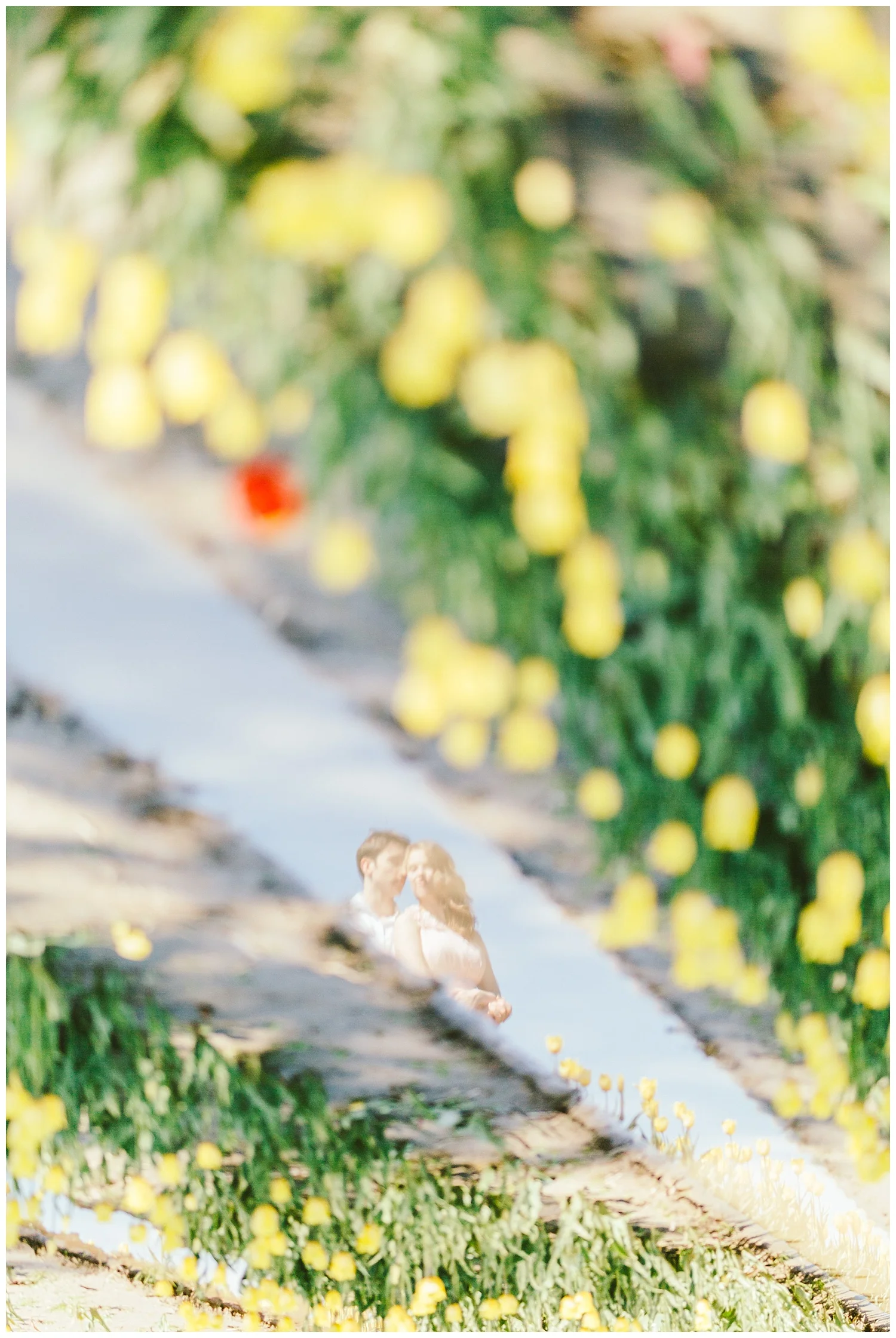Top 10 Engagement and Wedding Photography Locations in Vancouver