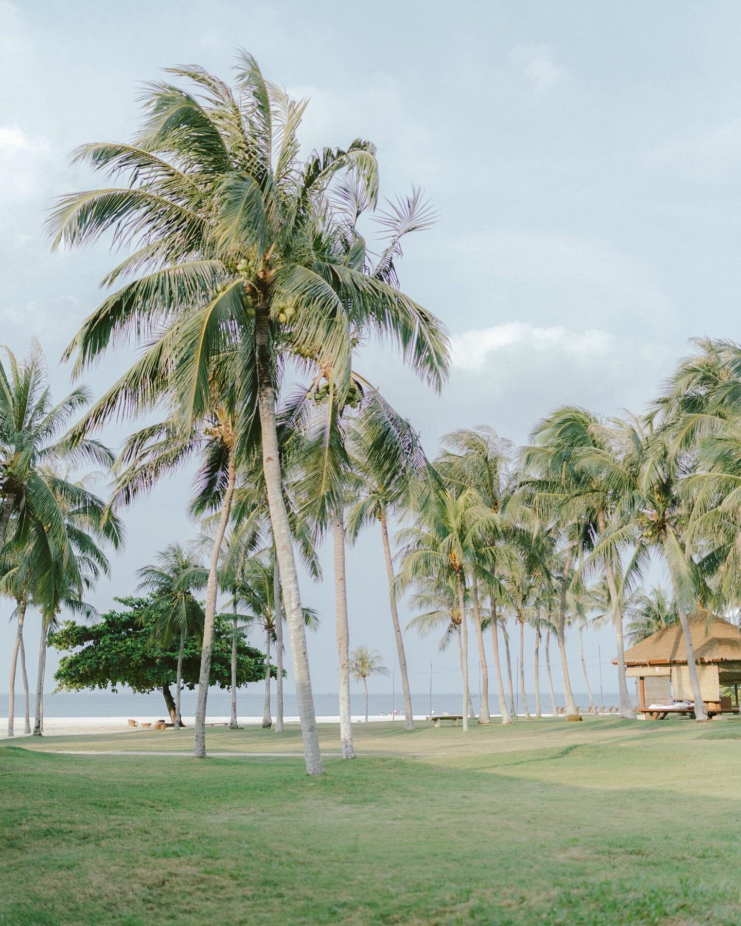 Dreaming of your next getaway/vacation(after COVID-19)? Here's a lesser known destination that I love!

Last summer, photographing O&amp;C's pre wedding session in Bintan, Indonesia. Missing this beautiful gem a little too much now. Summer this year 