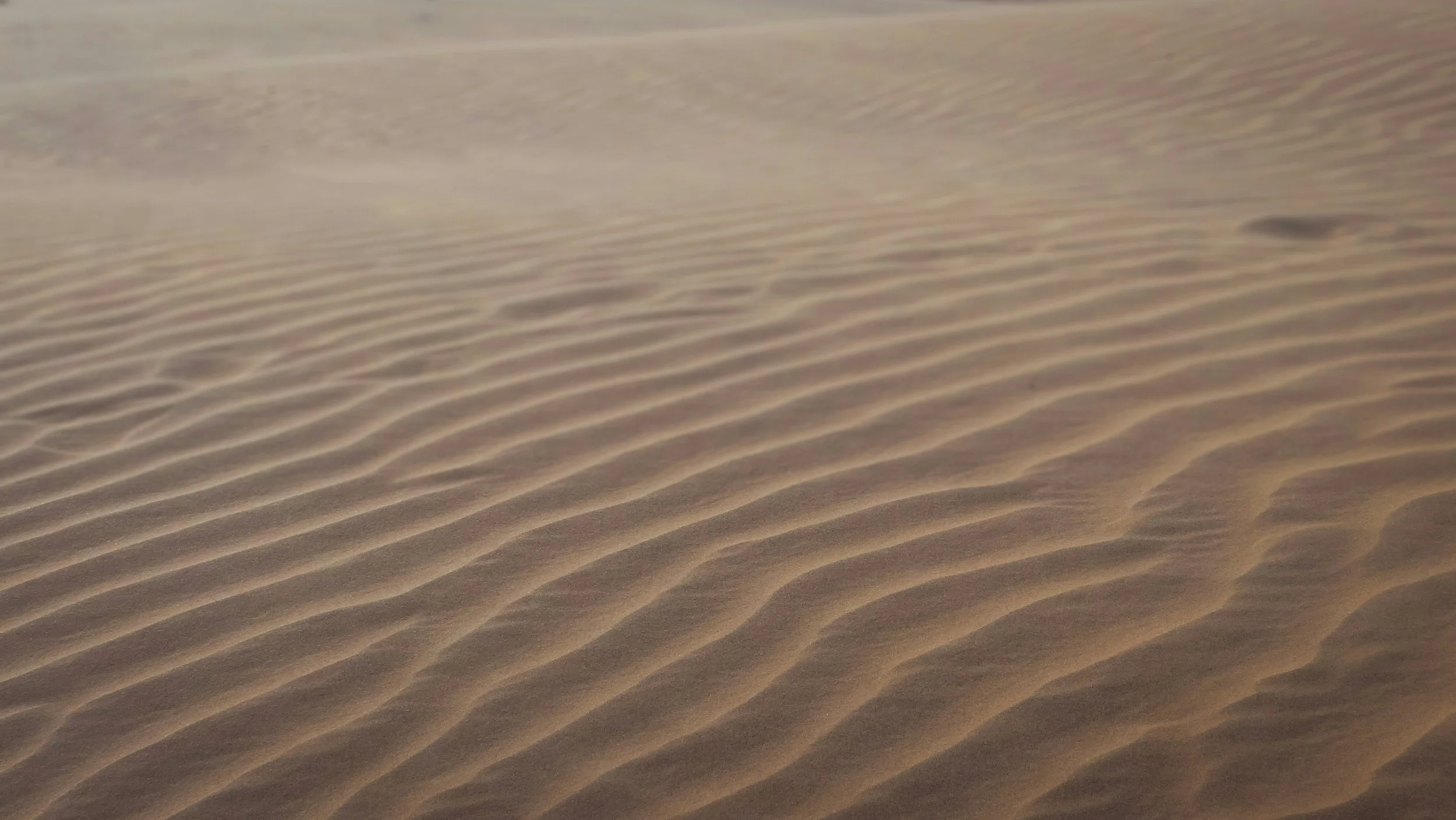 Close-up view of desert sand dunes with rippled patterns.