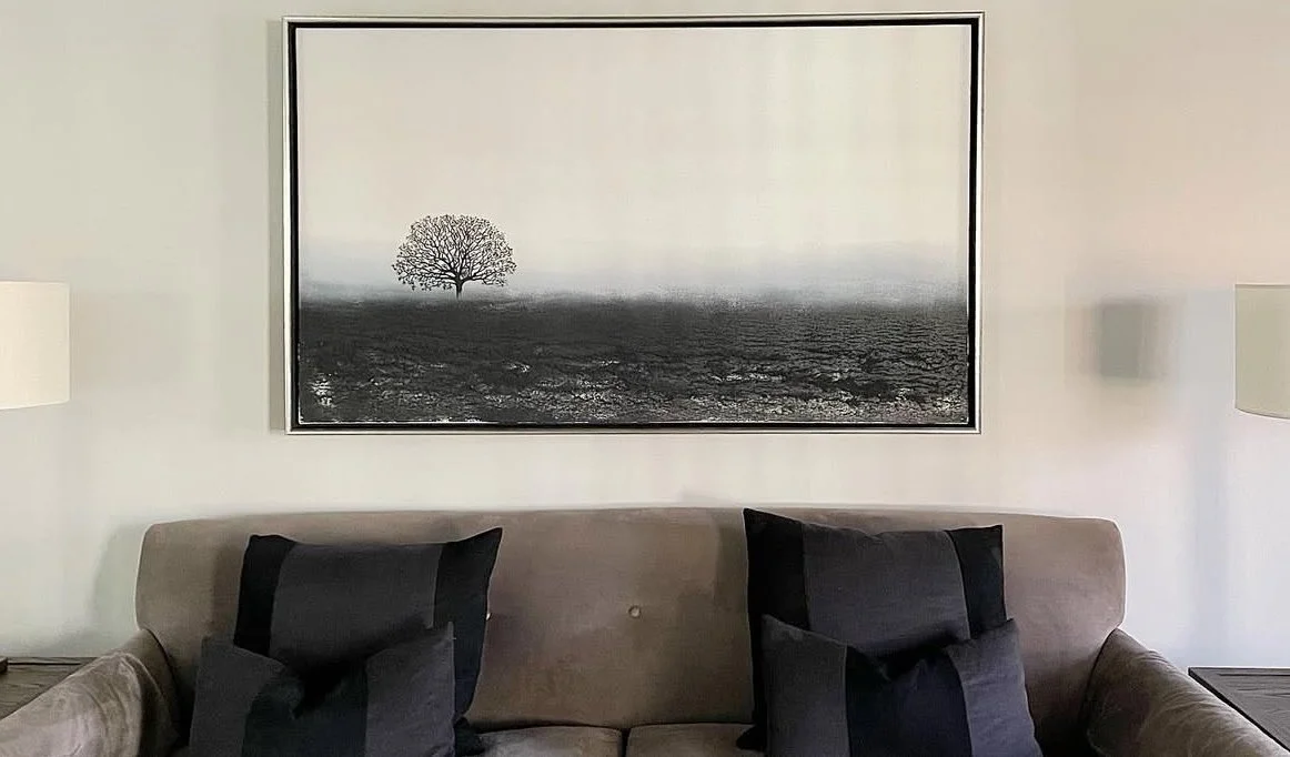 collaboration sustainable black sand with oak tree in home