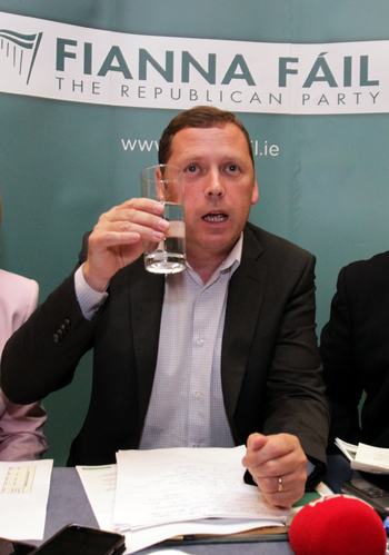 Fianna Fail TD for Laois-Offaly
