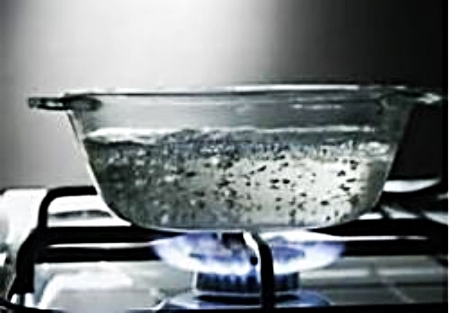 Boiling water increases the concentrations of Trihalomethanes