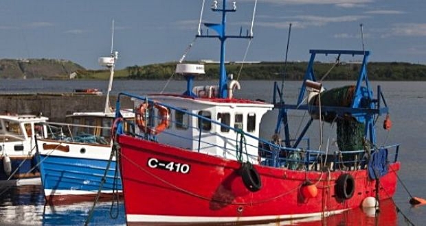 Fishing boats are seen in Cobh harbour in Co Cork. Fishermen’s representatives have called for a review of EU fishing rules. Photograph: Getty