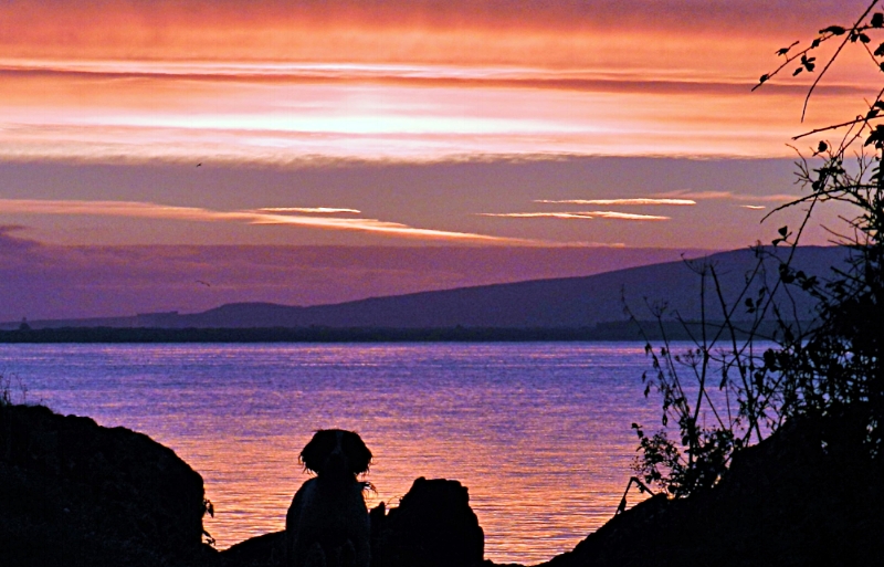 View from Glenburnie Beach in Carnagarve, Co Donegal - photo Enda Craig