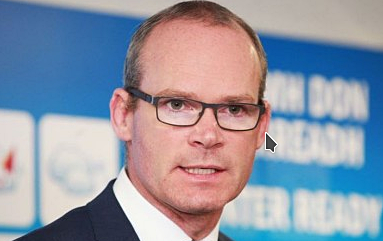 Simon Coveney Fine Gael Housing Minister