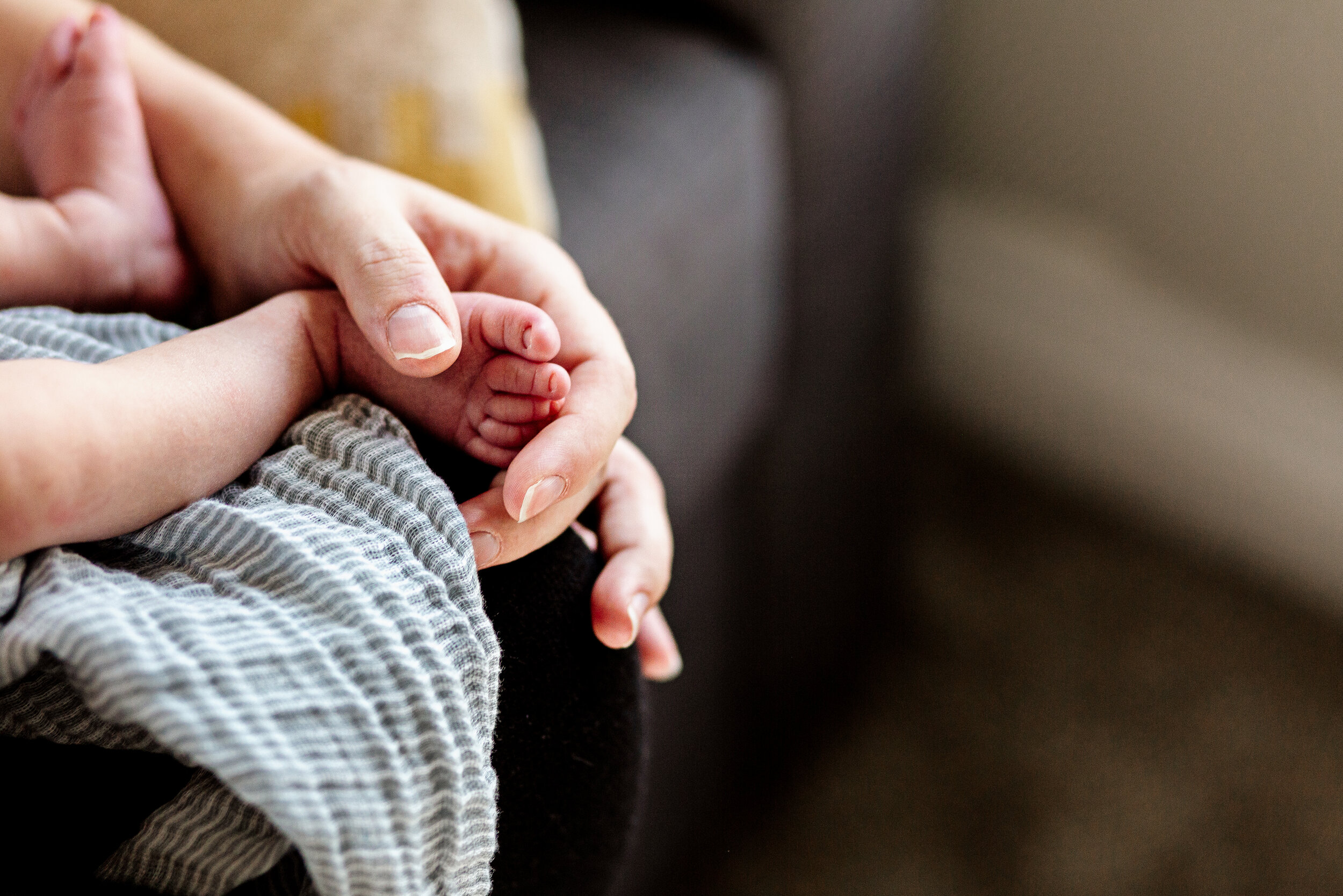 Denver maternity photographer, Denver in-home lifestyle photographer, Denver newborn photographer, Boulder maternity photographer, Boulder newborn photographer