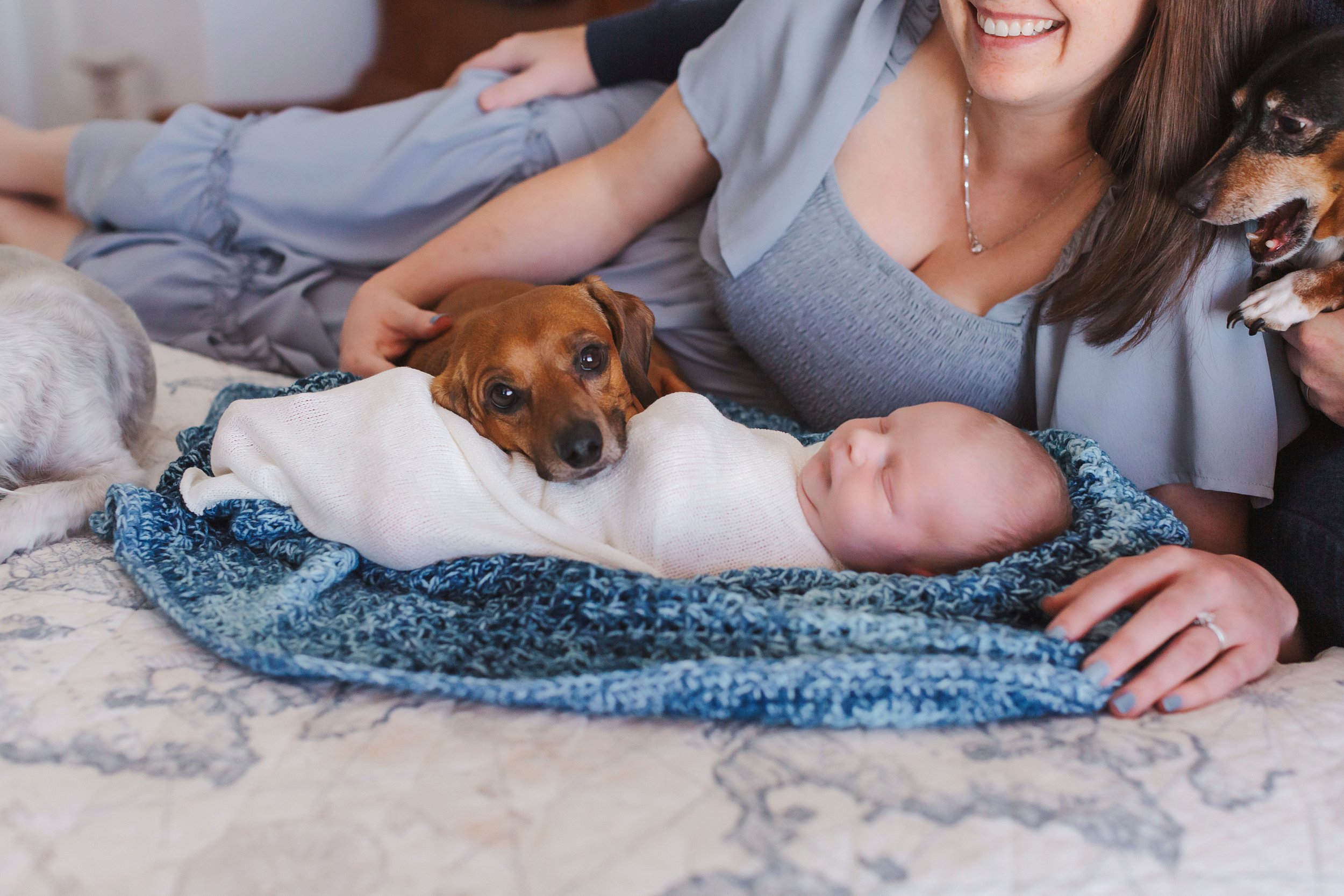 Denver Newborn Photo Session with Dogs | Denver Lifestyle Newborn Session