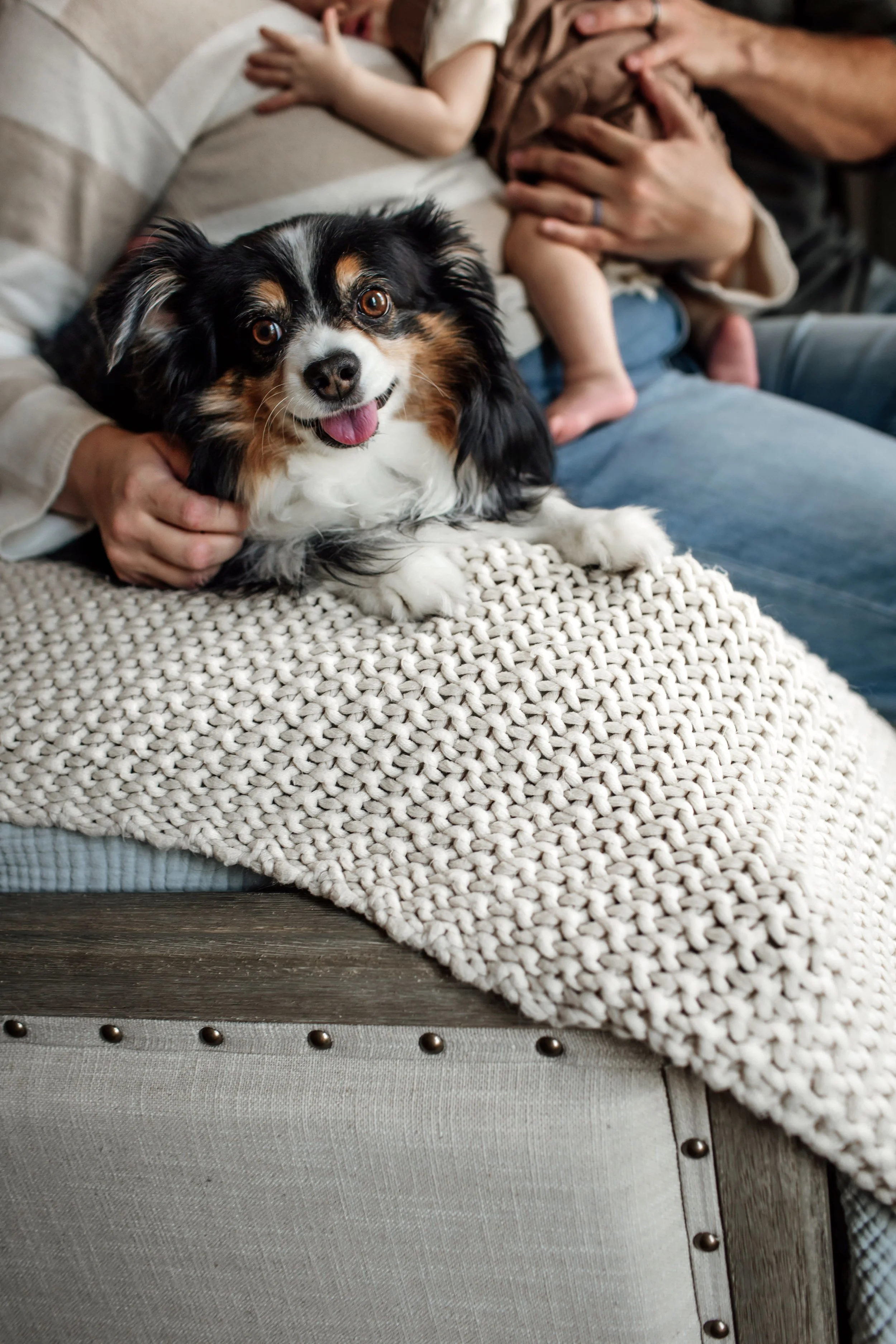 Denver Family Photographer, Denver Portrait Photographer, Family Photographer near me, photographer for family with small children, denver studio child photographer