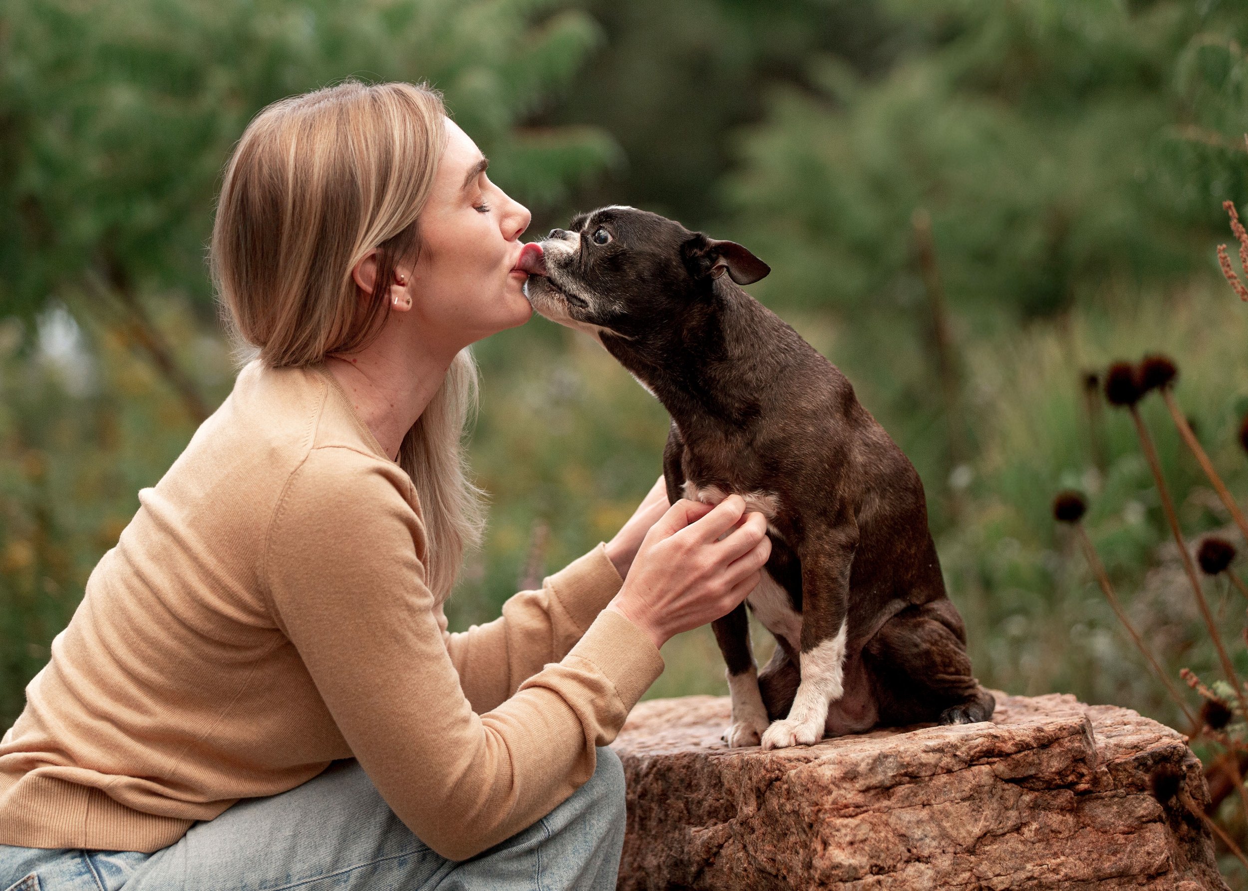 Woman cuddling her senior Boston Terrier during a Denver end-of-life dog photography and celebration of life session.