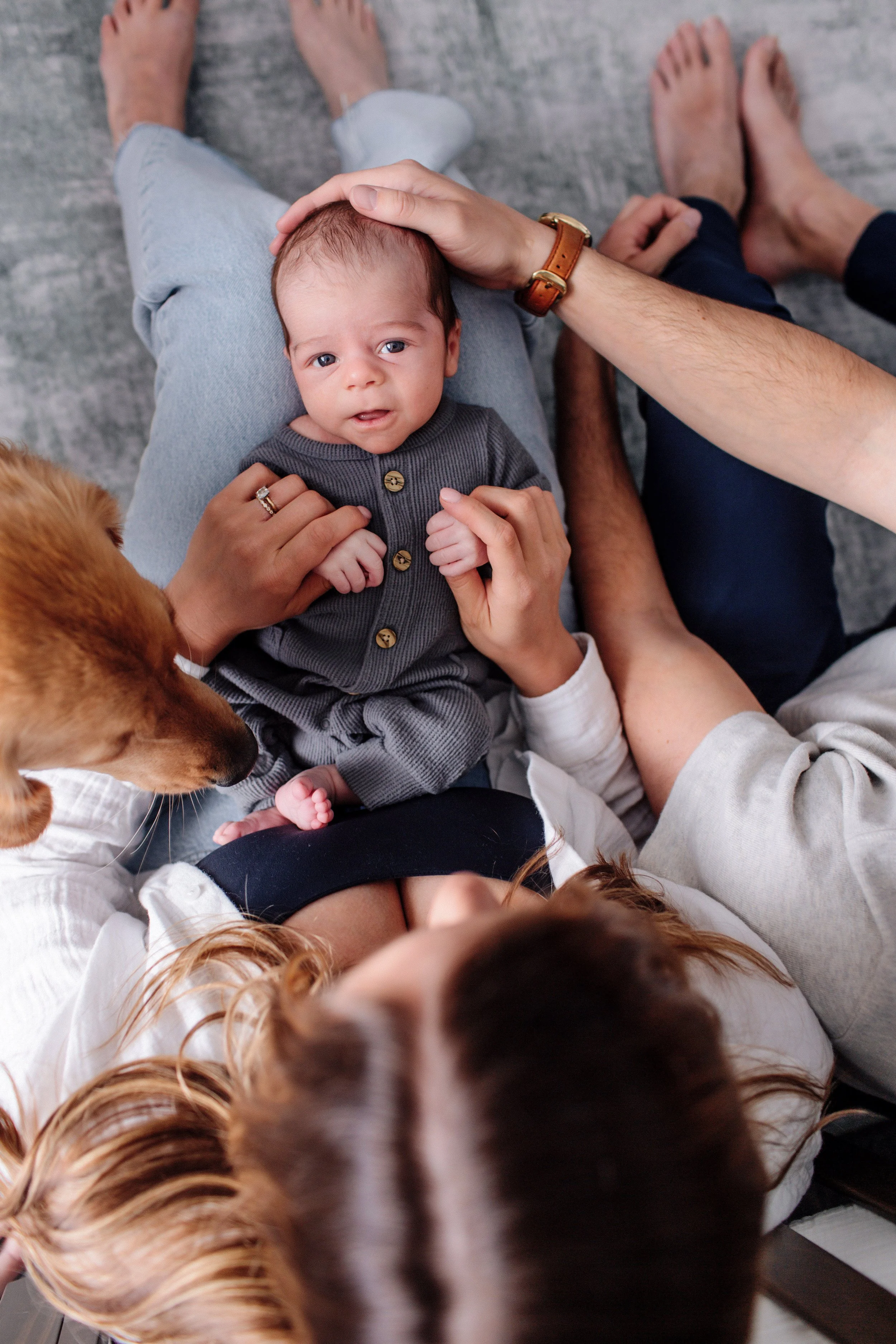 Denver Newborn Photos with dog, denver in home photos with dog and newborn baby