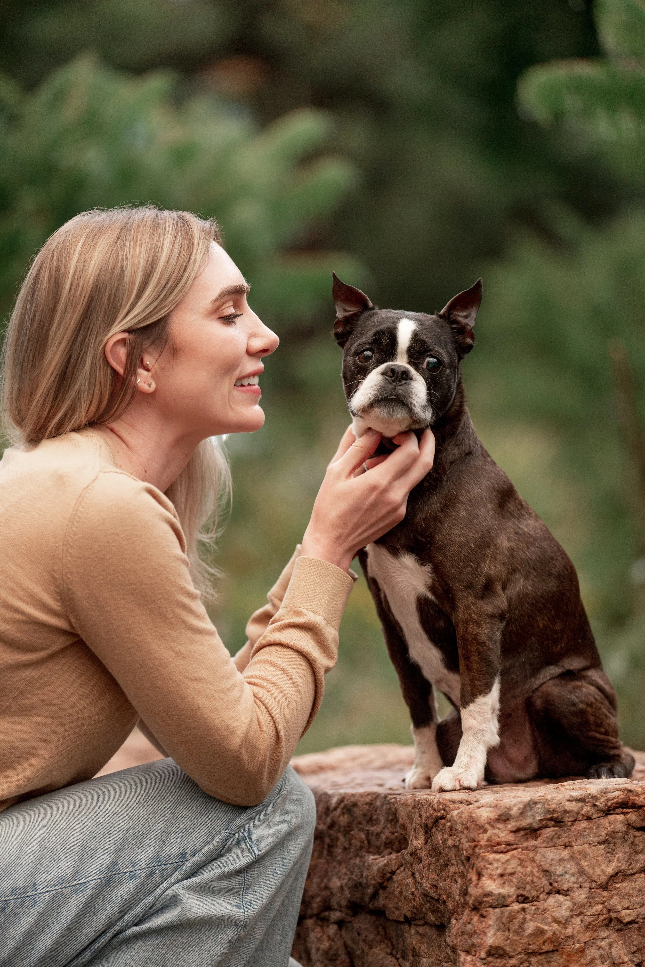 Senior Boston Terrier photographed outdoors in Denver during a pet memorial photography session with her owner.