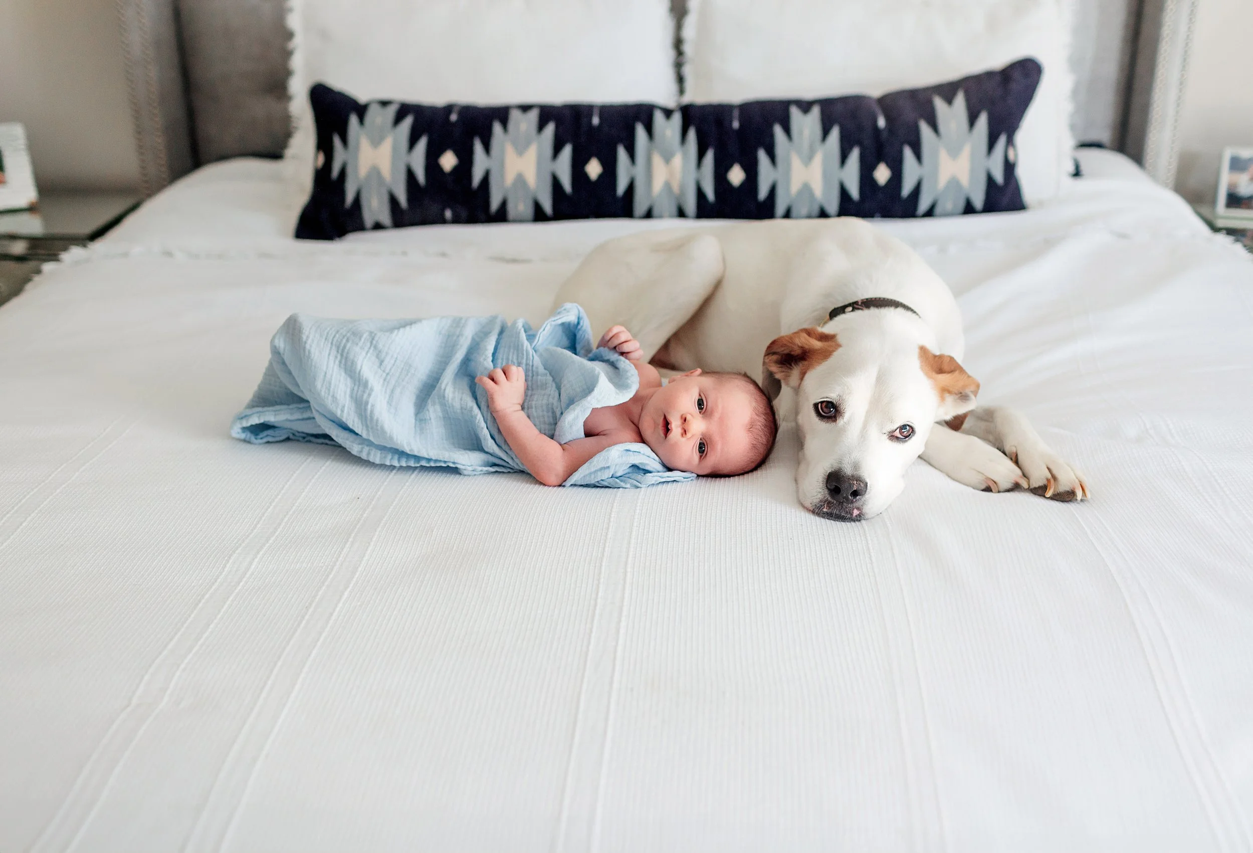 Boulder Lifestyle Newborn Photos | Denver Lifestyle Newborn Photos