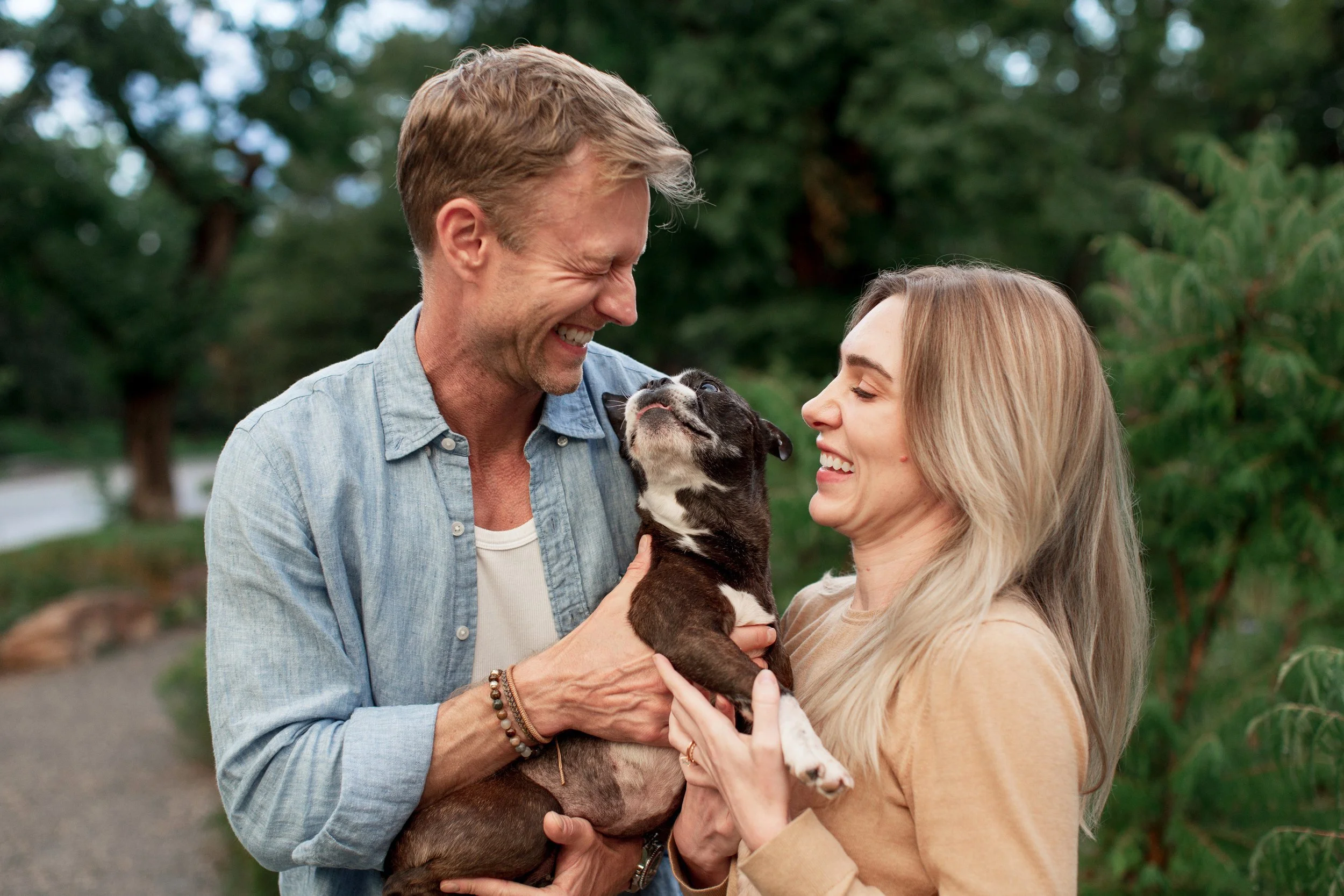 Senior Boston Terrier showing her personality during a Denver dog portrait photography session with her owner.