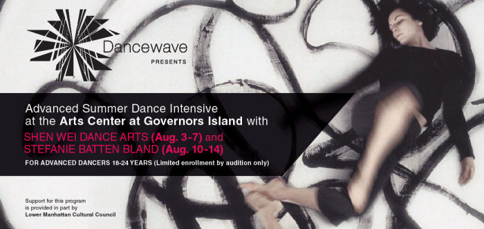 Dance Wave Governors Island Summer Intensive 