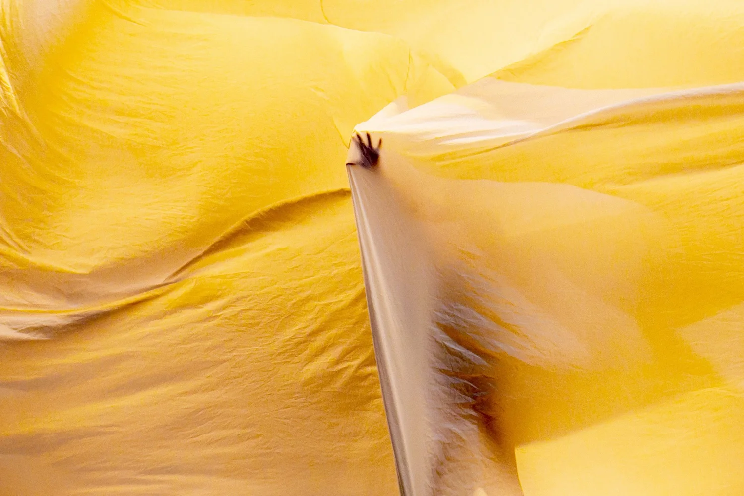 PATIENT(CE) - A Physical Requiem