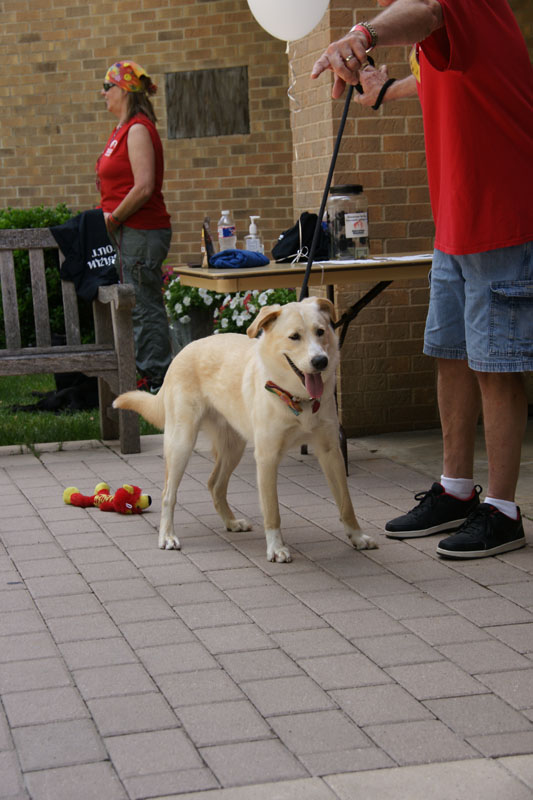 DSC09925.jpg