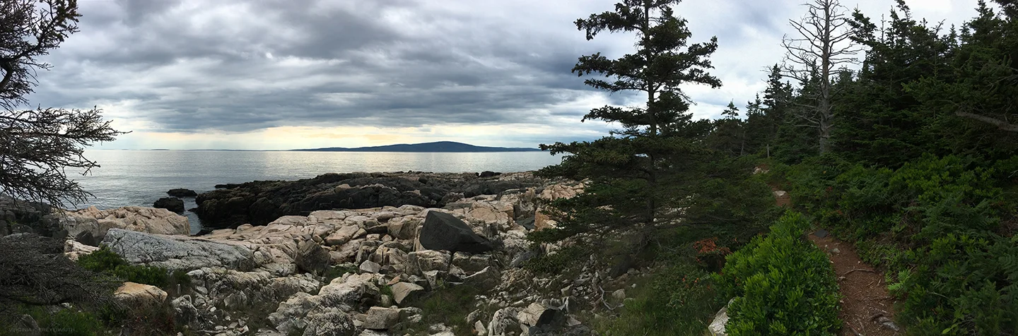 ACADIA_VIRGINIAFREYERMUTH