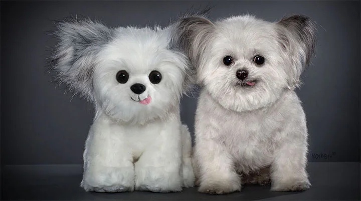 norbert plush toy.jpg