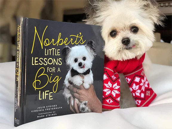 Norbert Little Lessons.jpg
