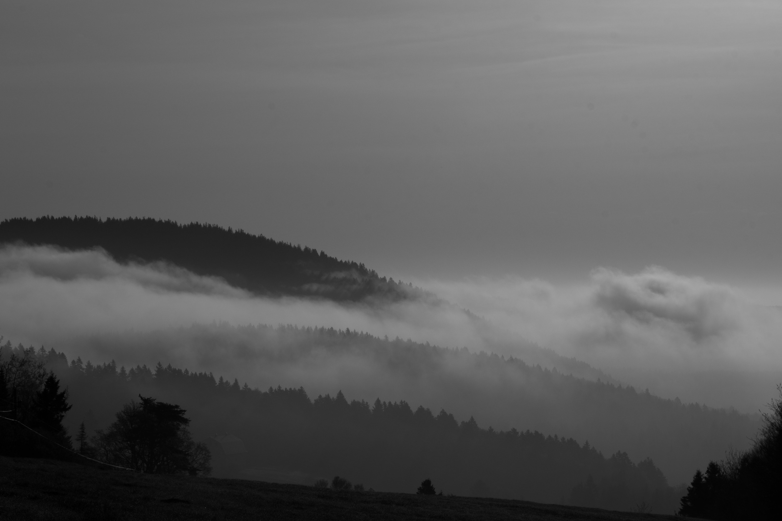 Early morning fog rolls in on the Bay of Fundy, I love the layers and textures in this pic